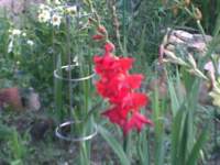photo5_small.jpg