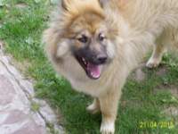 s4022125_small.jpg
