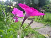 s4022402_small.jpg