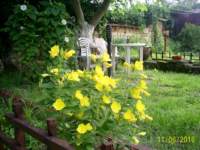 s4022409_small.jpg