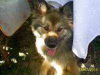 s4022458_small.jpg