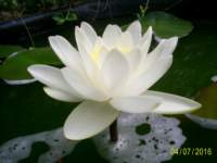 s4022474_small.jpg