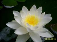 s4022475_small.jpg