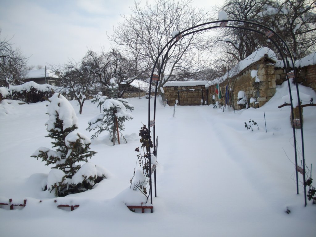 imgp3689.jpg