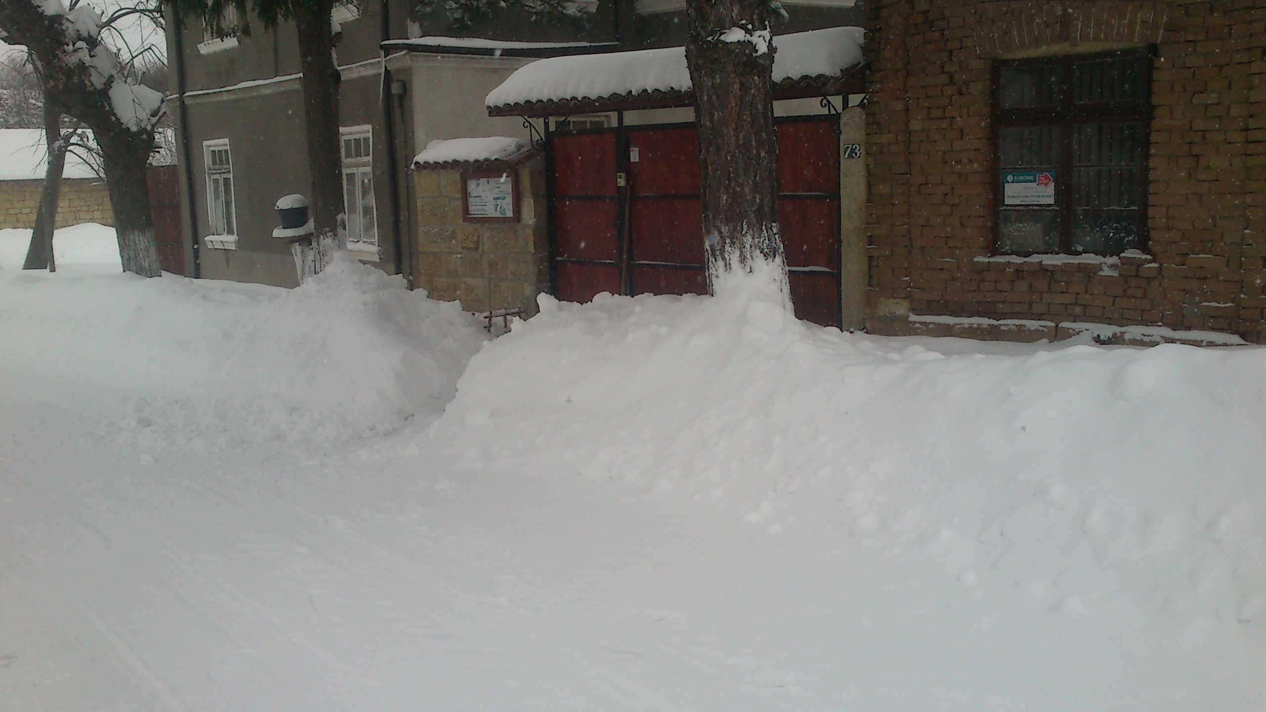 photo2.jpg